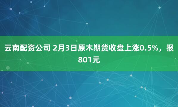 云南配资公司 2月3日原木期货收盘上涨0.5%，报801元